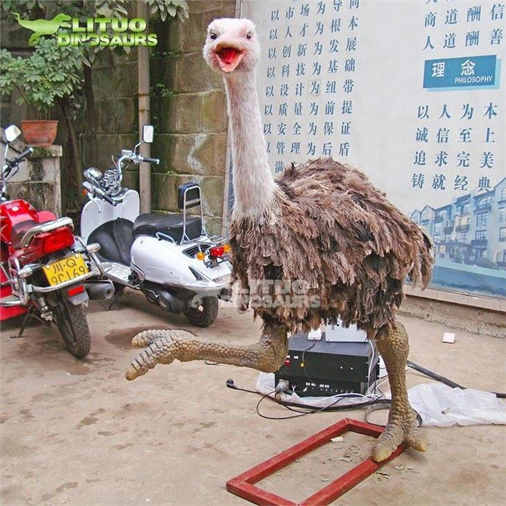 3Animal Model Ostrich(001)